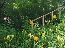 Garfield Grounds | Lakeside • Guest Cottage • Dock
