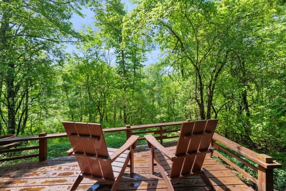 Moss's Muse: A Modern Retreat